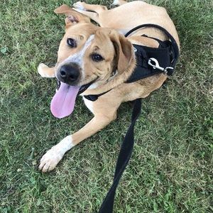 Meet your Posher, Carolyn